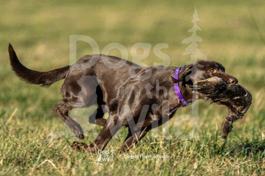 J8 3-28-26 3 – June