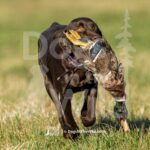 J8 3-28-26 5 – June