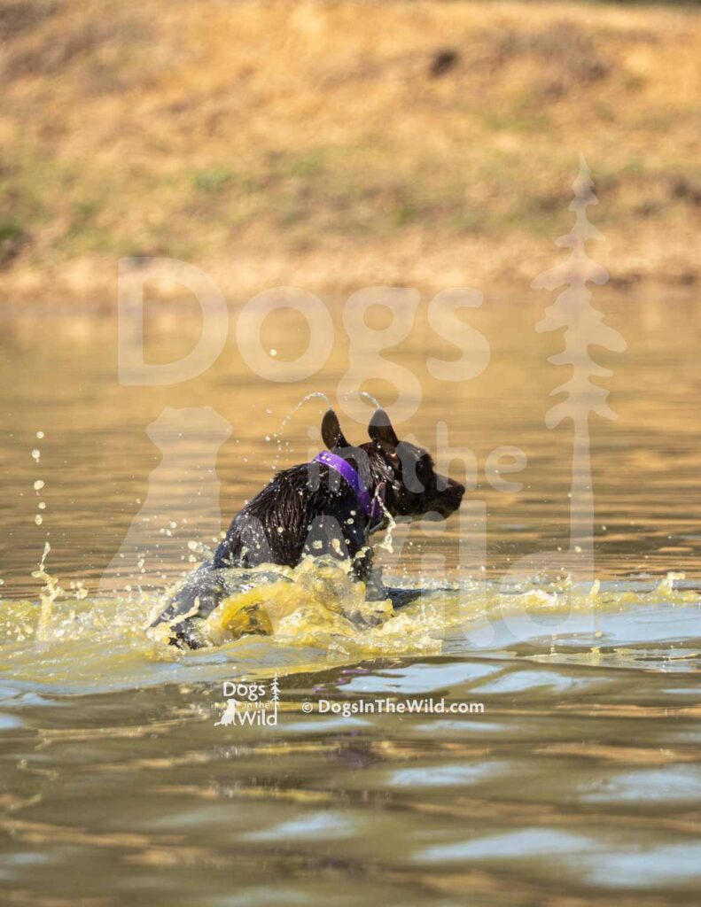 J8 3-28-26 9 – June