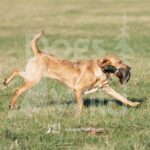 J9 3-28-26 3 – Mya