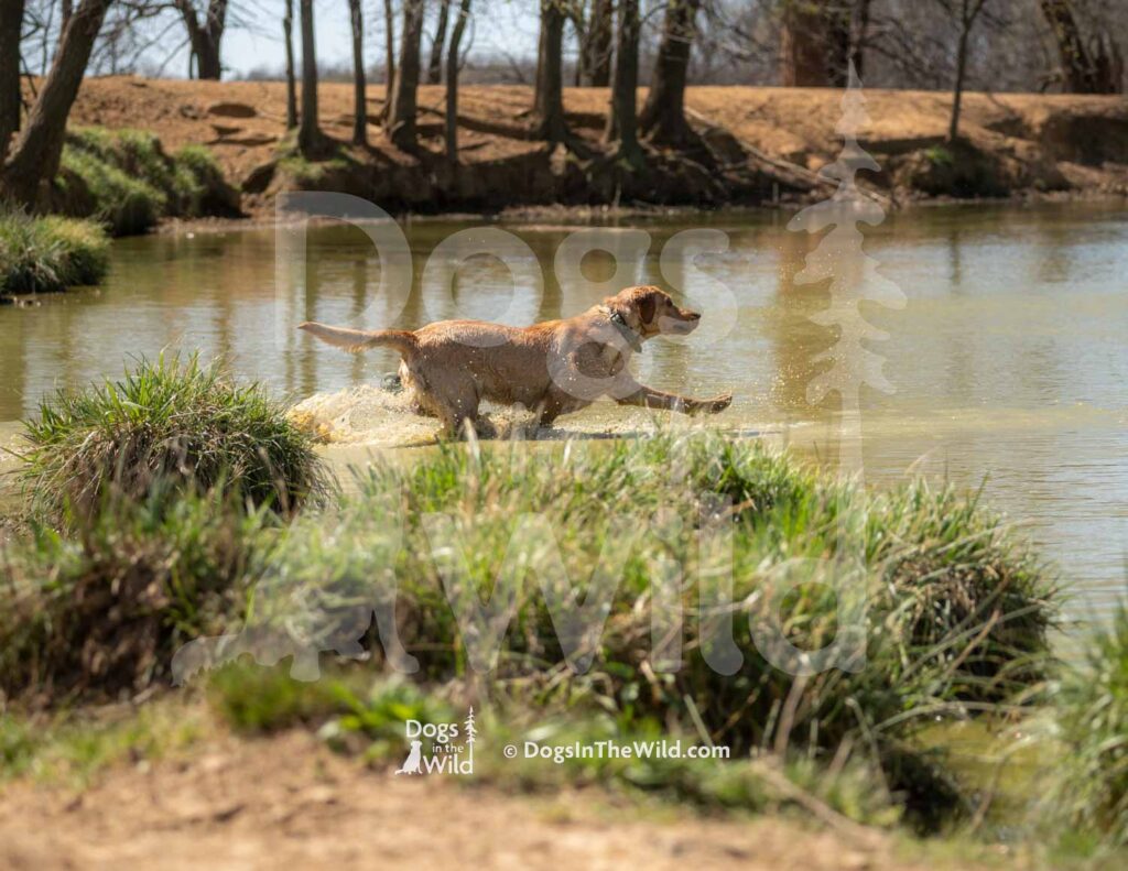 J9 3-28-26 9 – Mya