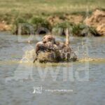 J9 3-28-26 10 – Mya