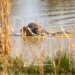 M01 3-28-26 2 – Hank