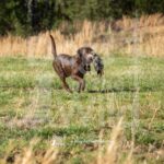 M01 3-28-26 3 – Hank