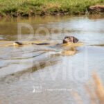 M01 3-28-26 4 – Hank