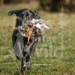 M04 3-28-26 2 – Smoke