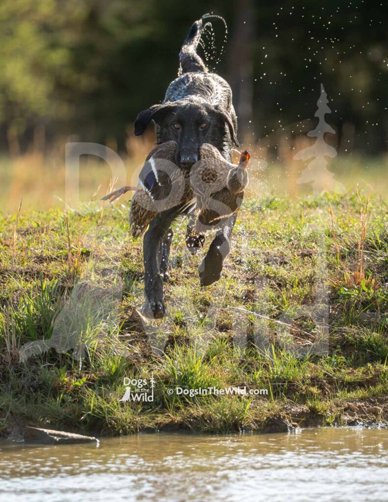 M04 3-28-26 3 – Smoke