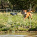 M05 3-28-26 1 – Ranger