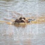M07 3-28-26 1 – Gus