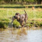 M07 3-28-26 3 – Gus