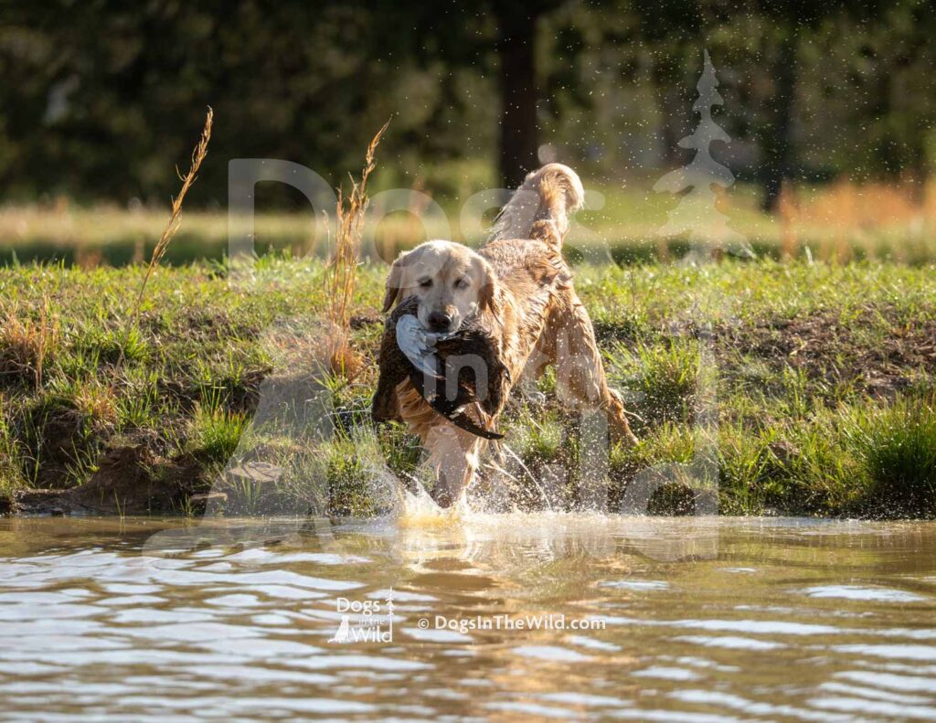 M08 3-28-26 2 – River