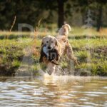 M08 3-28-26 2 – River