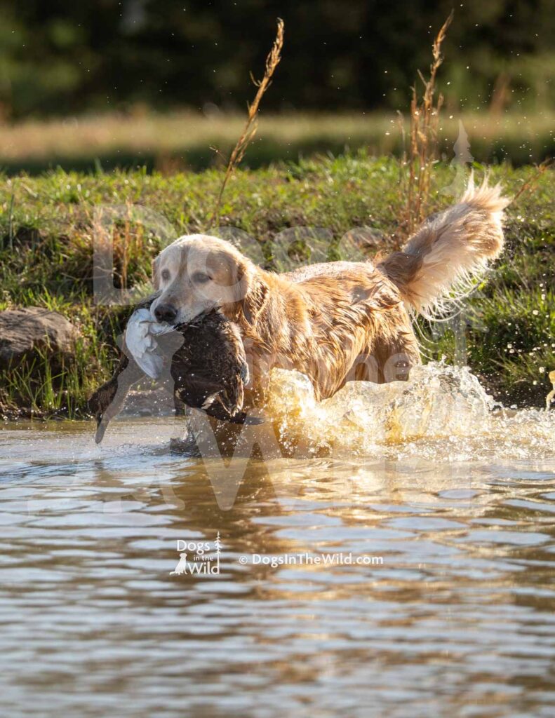 M08 3-28-26 3 – River