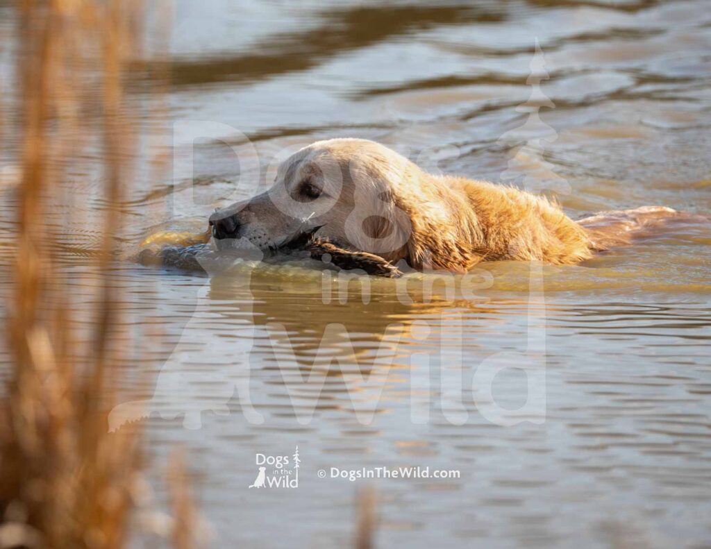 M08 3-28-26 4 – River