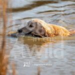 M08 3-28-26 4 – River