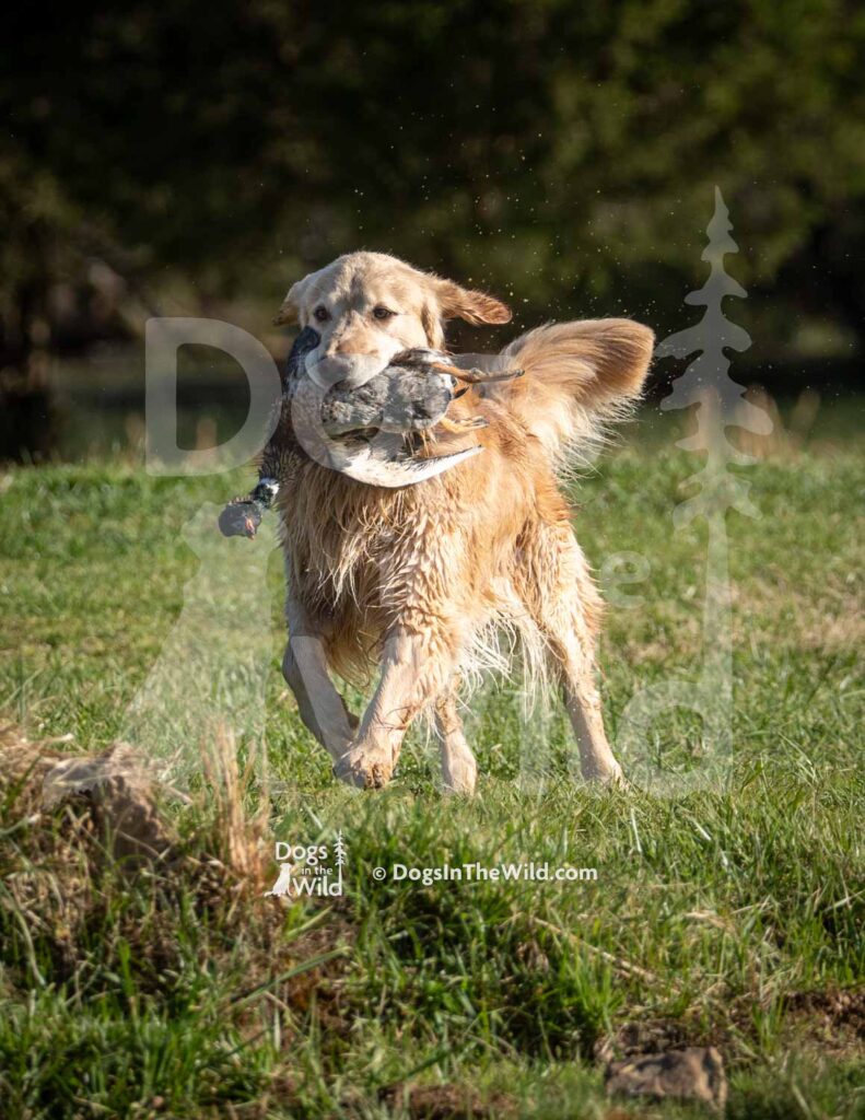 M08 3-28-26 5 – River