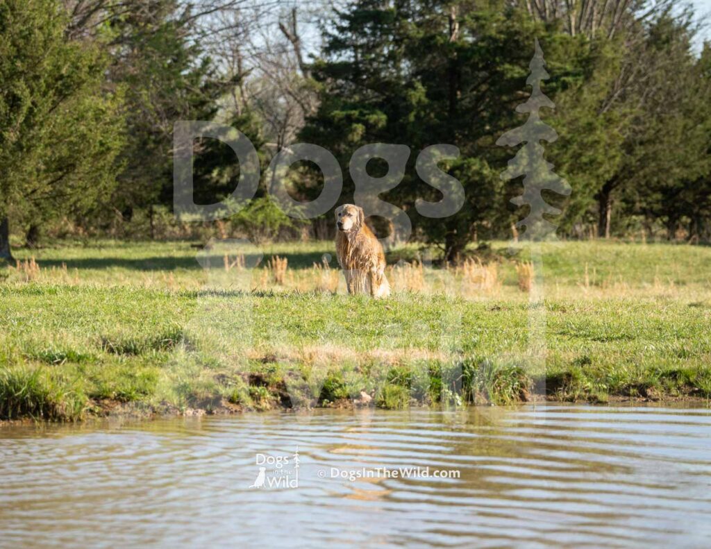 M08 3-28-26 6 – River