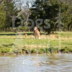 M08 3-28-26 6 – River