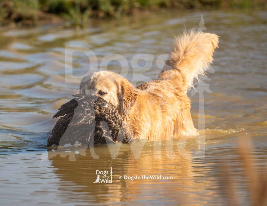 M08 3-28-26 7 – River