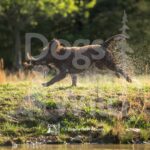 M09 3-28-26 1 – Tuff