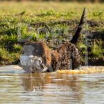 M09 3-28-26 3 – Tuff