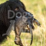 M09 3-28-26 7 – Tuff