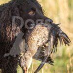 M09 3-28-26 8 – Tuff