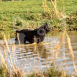 M09 3-28-26 9 – Tuff