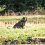 M09 3-28-26 10 – Tuff