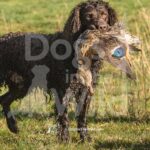 M09 3-28-26 11 – Tuff