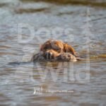 M10 3-28-26 4 – Bruno