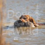M10 3-28-26 5 – Bruno