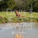 M10 3-28-26 6 – Bruno
