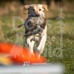 M11 3-28-26 1 – Finn