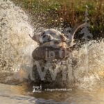 M11 3-28-26 3 – Finn
