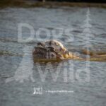 M11 3-28-26 4 – Finn