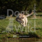 M11 3-28-26 5 – Finn