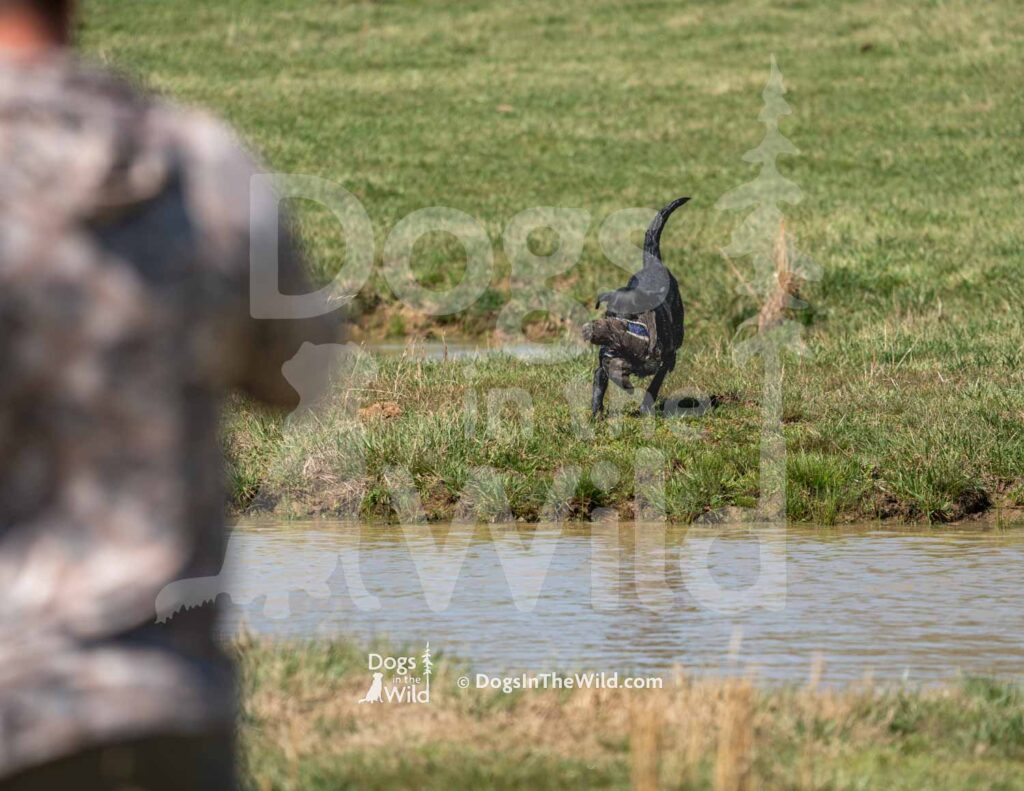 M12 3-28-26 1 – Penny