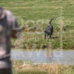M12 3-28-26 1 – Penny