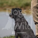 M12 3-28-26 3 – Penny