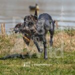 M12 3-28-26 4 – Penny