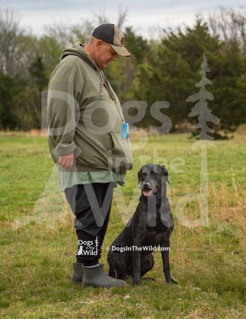 Castile Creeks Do It With Some Style - M15 3-28-26 1 - Ozark Hunting Retriever Assoc