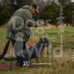 M15 3-28-26 3 – Mac
