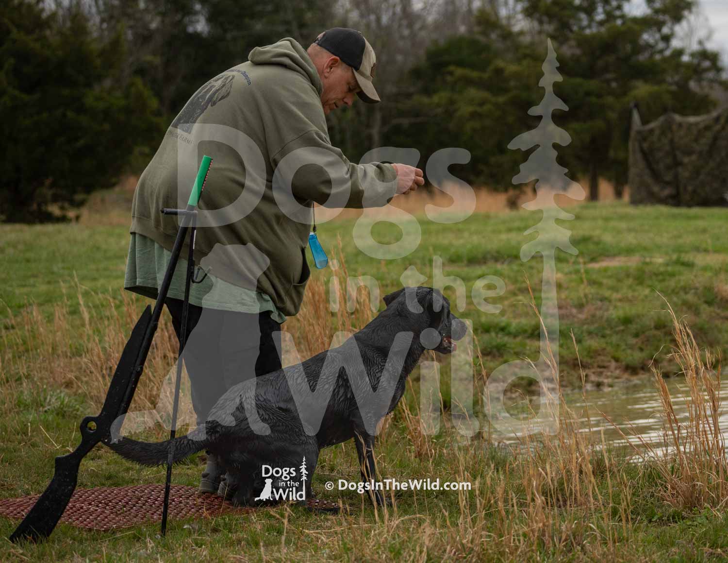 15 – HRCH Castile Creeks Do It With Some Style MH