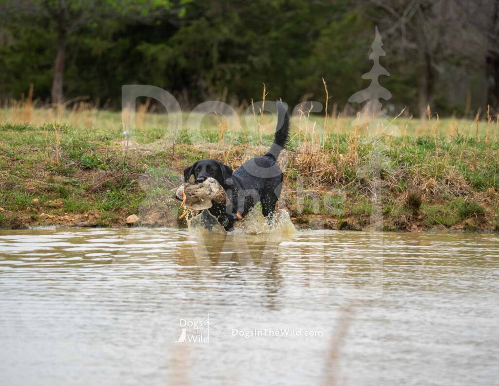 M15 3-28-26 7 – Mac