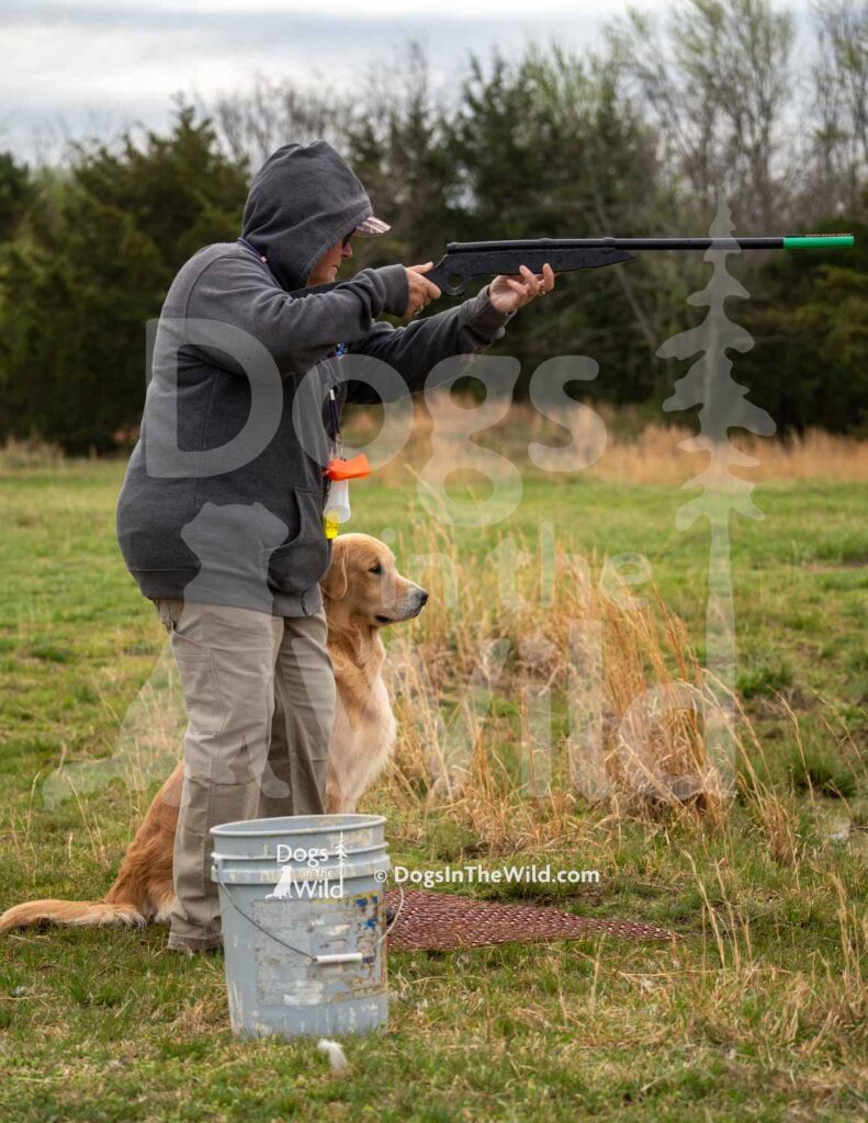 Malagold Solitaire Y Ration Passion - M16 3-28-26 1 - Ozark Hunting Retriever Assoc