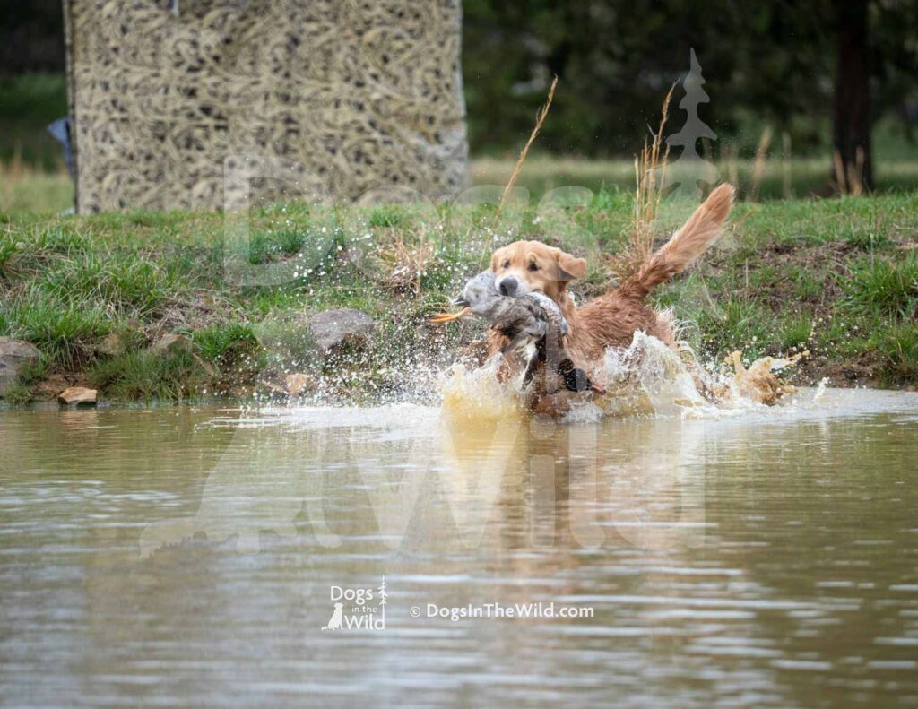 M16 3-28-26 2 – Rafa