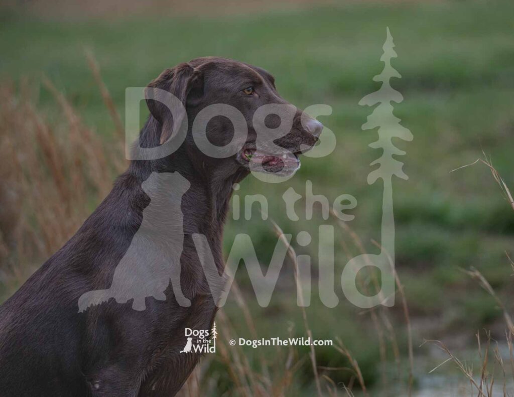 M17 3-28-26 2 – Jitter