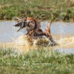 M19-3-28-26 2 – Griff