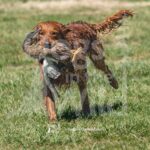 M19-3-28-26 4 – Griff